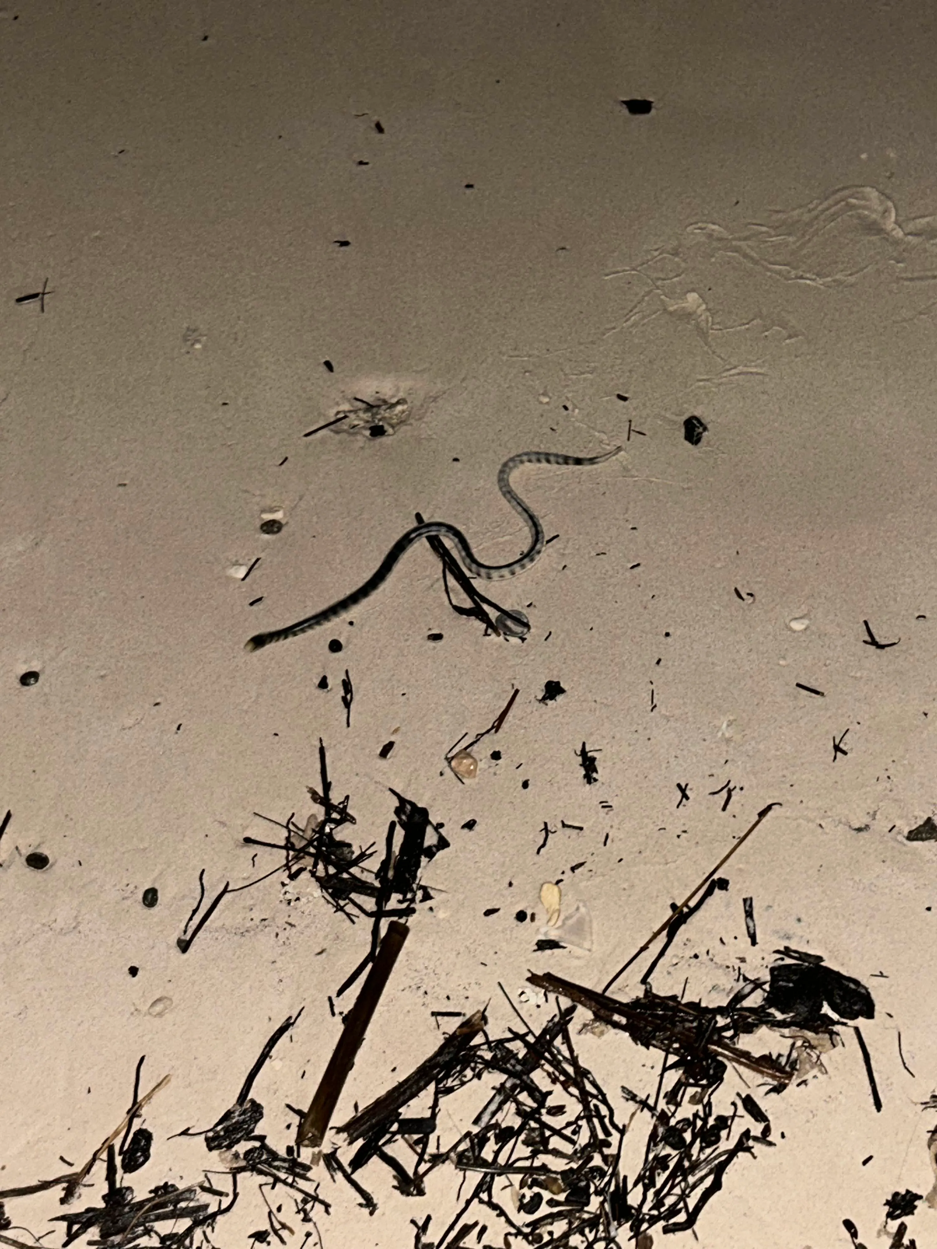 Photo 12 from Boracay