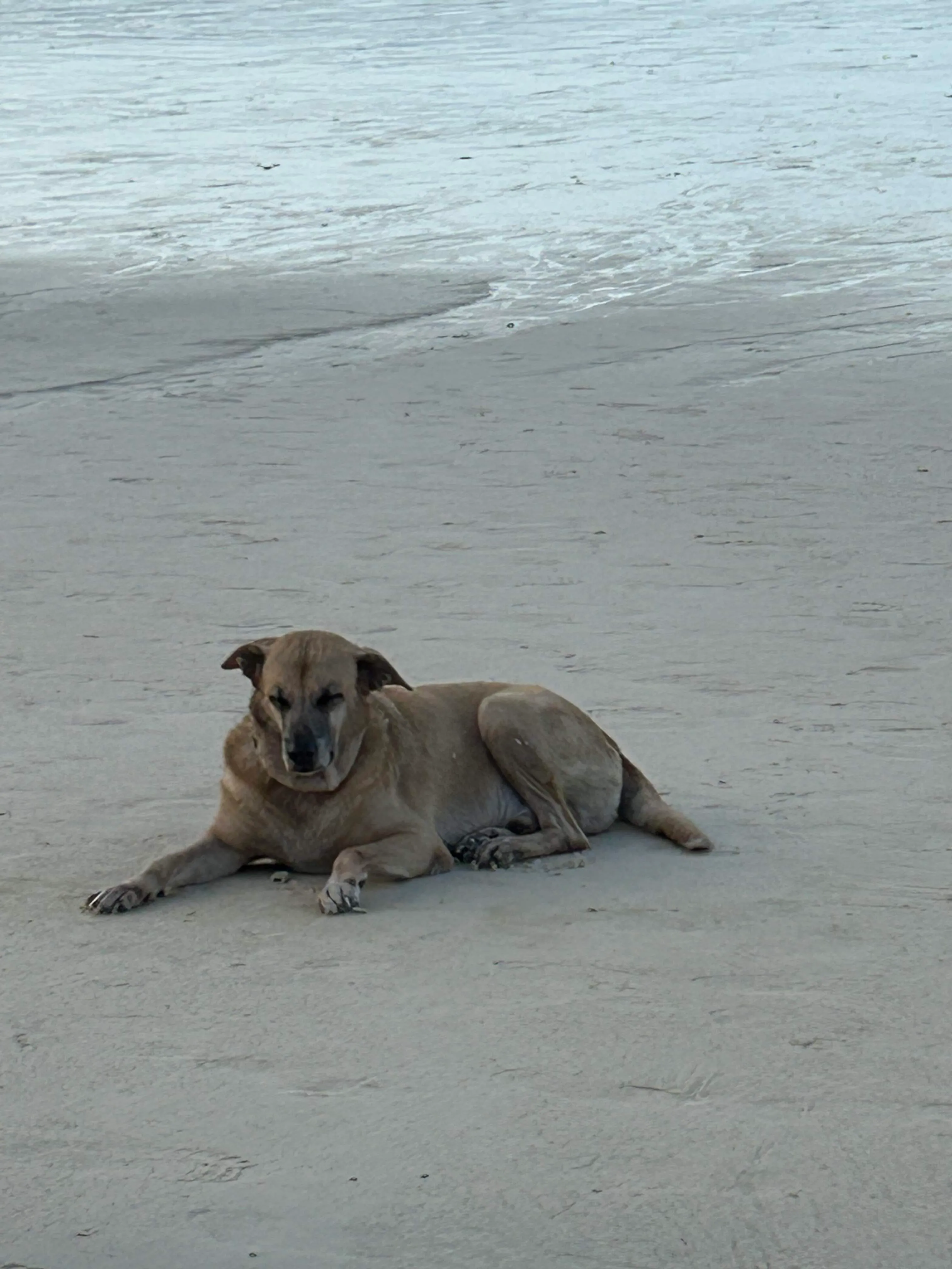 Photo 2 from Boracay