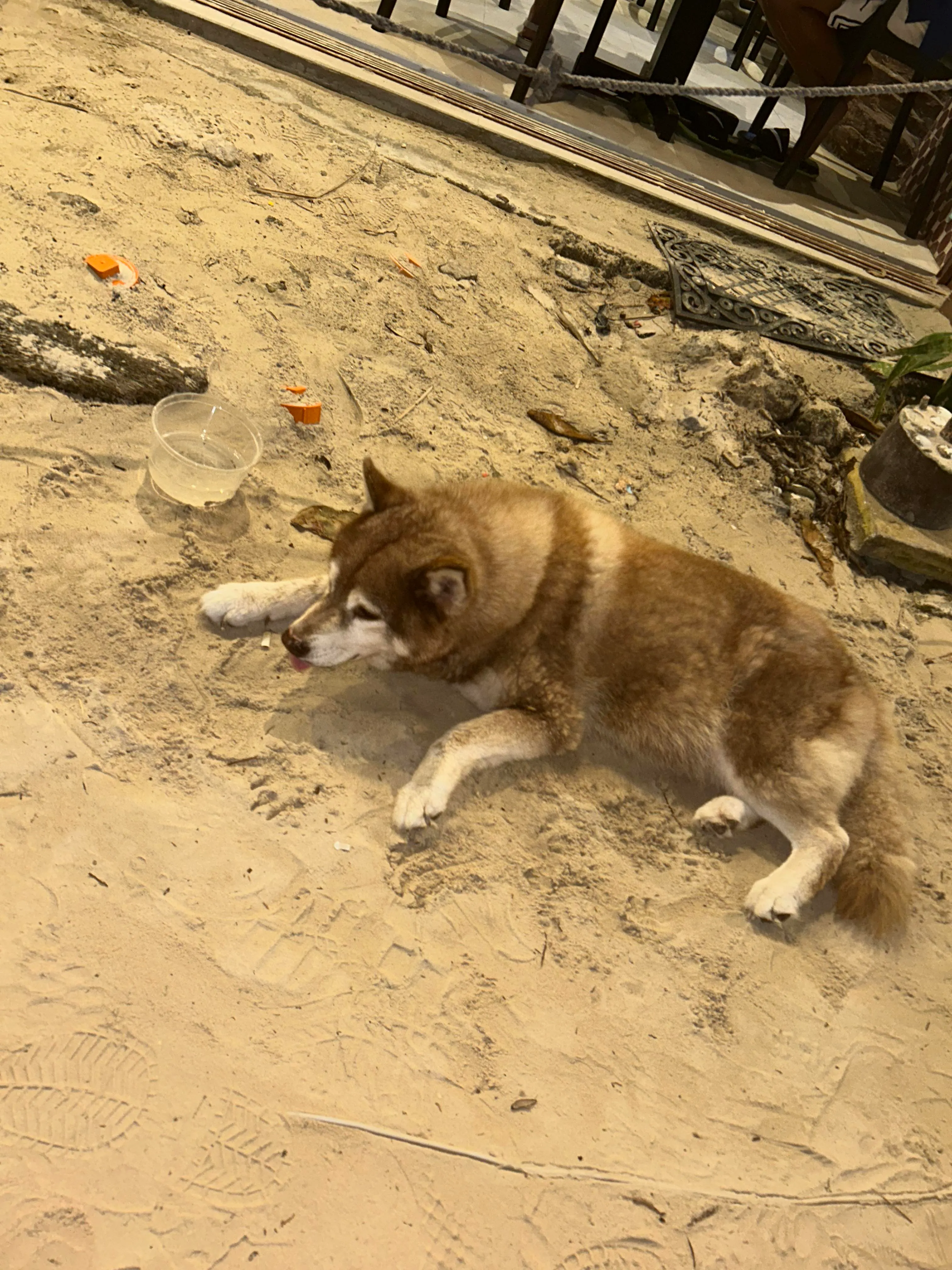 Photo 6 from Boracay